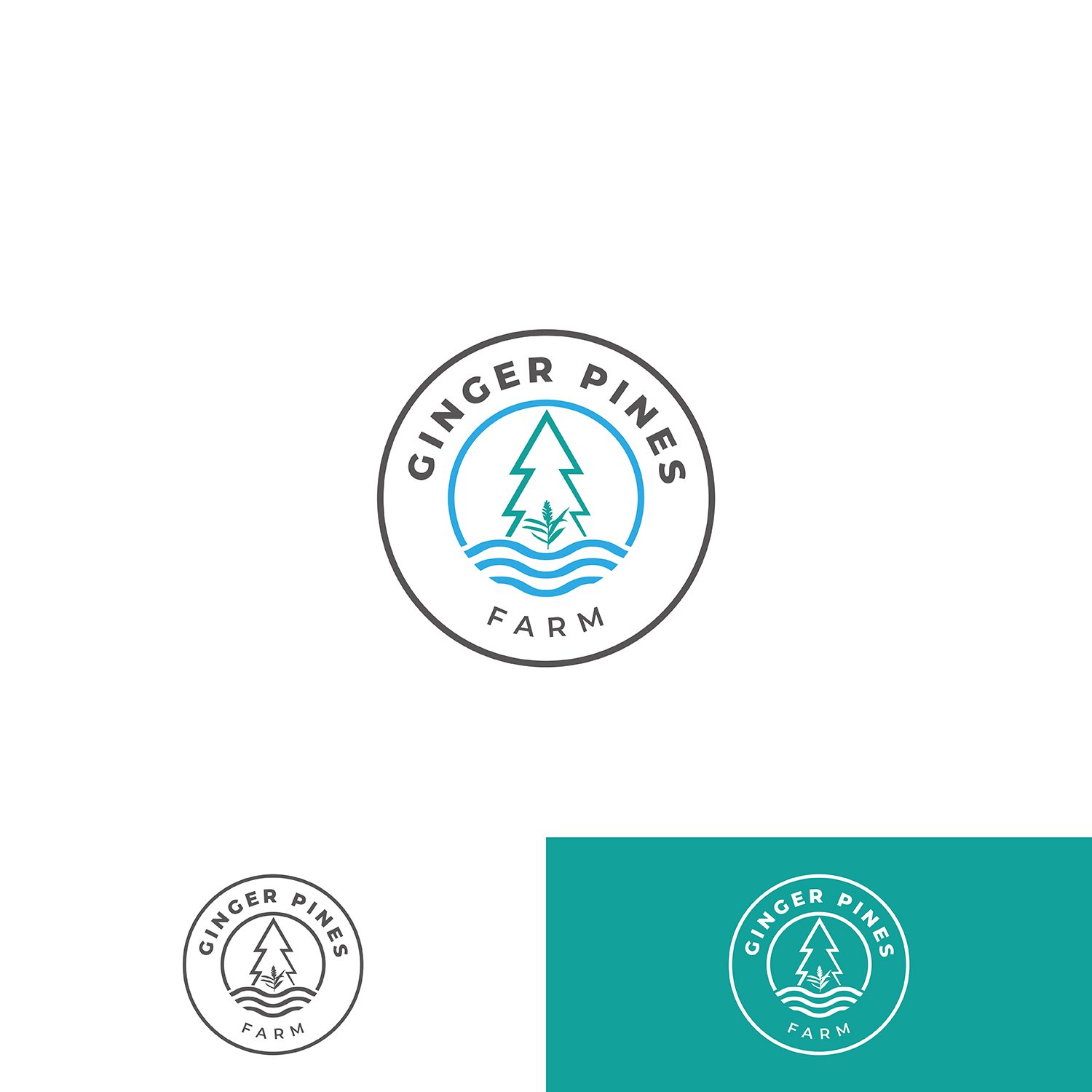 Diseño de Logo por Grapi para este proyecto | Diseño #26559796