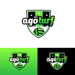 Logo-Design von Radsky17 für dieses Projekt | Design: #26575663