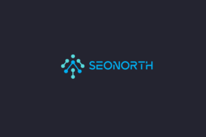 SEONORTH | Logo Design by tola 4