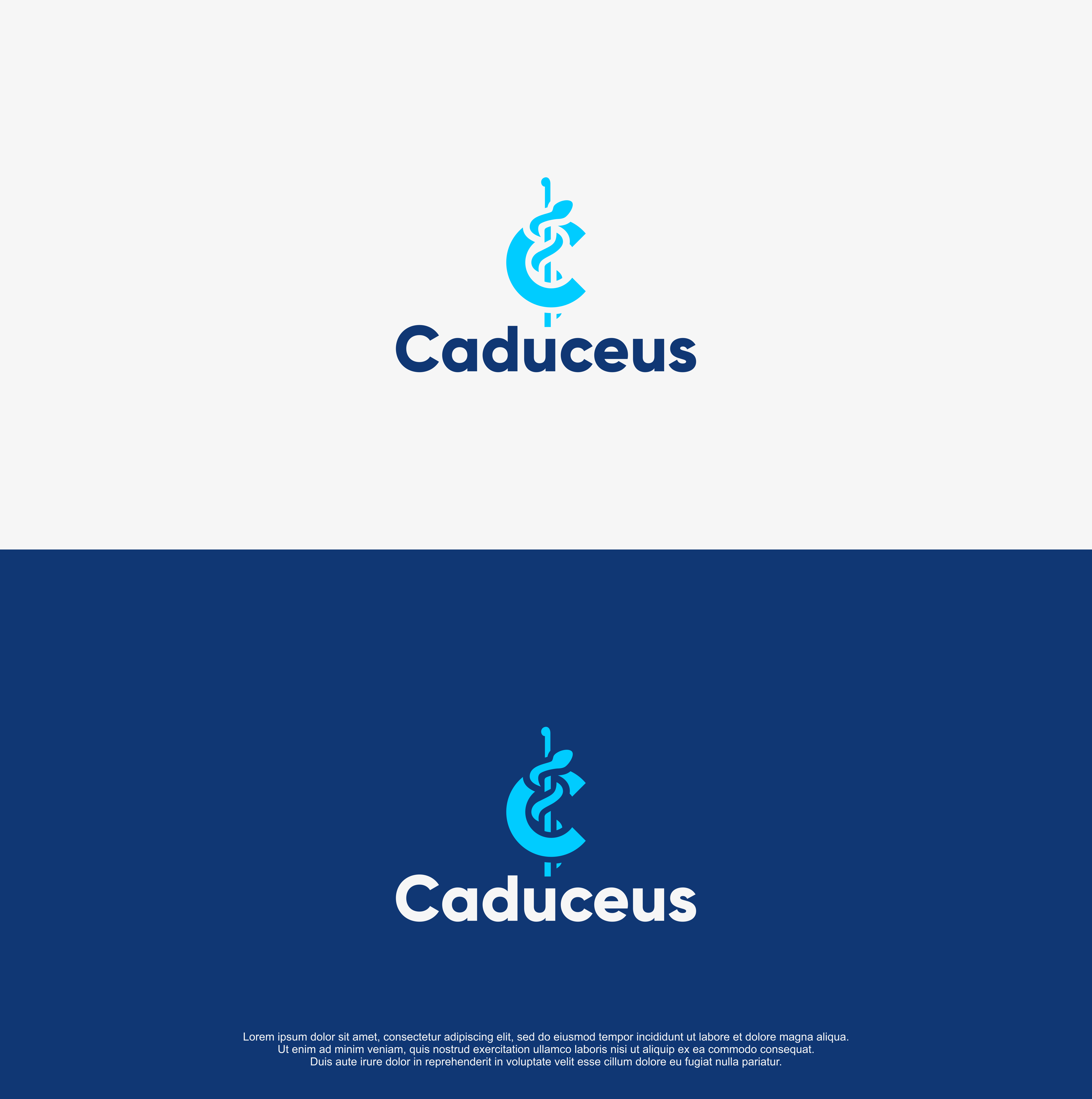 Logo Design by R!CKY for this project | Design #26571753
