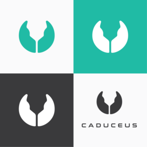Logo Design by Anton de Waal for this project | Design: #26543347