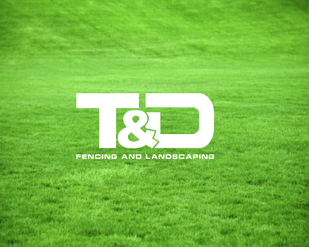 Logo Design by expert pro for this project | Design #26544624