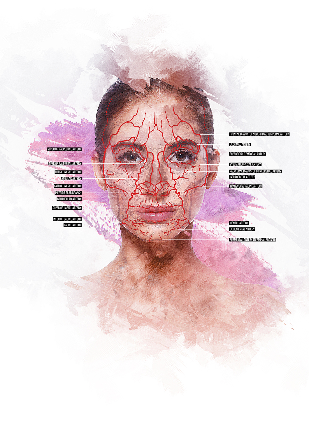 Grafik-Design von Akhtanbed für dieses Projekt | Design #26616277