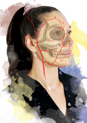 Modern Facial Anatomy Posters | Design Graphique par Zhor Signatures