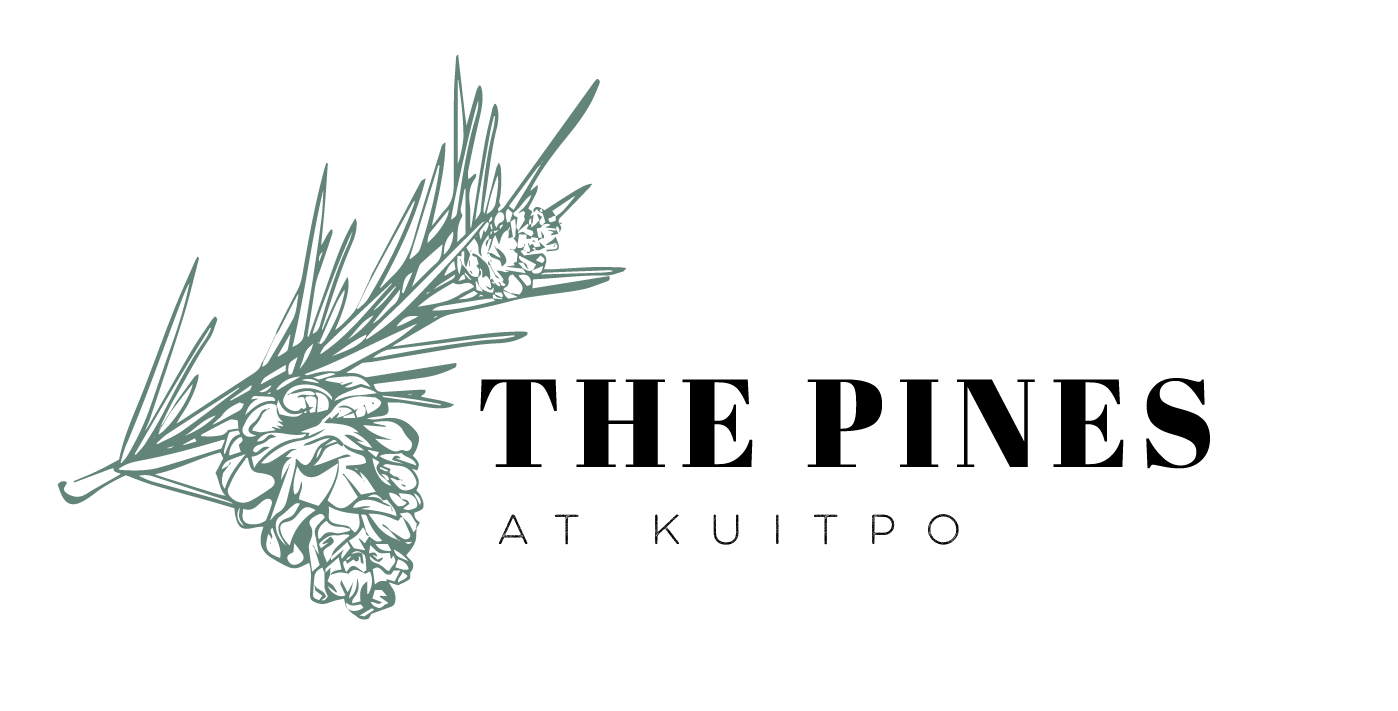 Diseño de Logo por Frauke 2 para este proyecto | Diseño #26573140