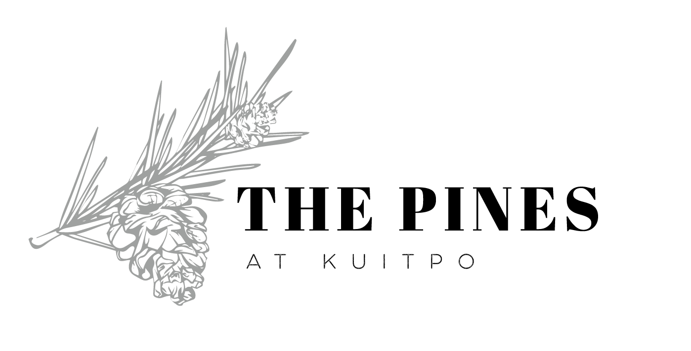 Diseño de Logo por Frauke 2 para este proyecto | Diseño #26573180