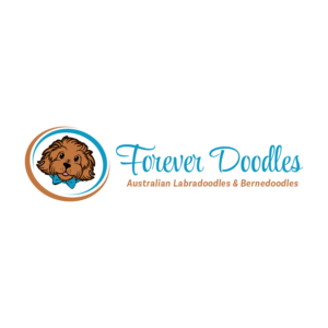 Version 1: 'Forever Doodles' Version 2: 'Forever Doodles' and 'Breeders of Australian Labradoodles & Bernedoodles' | Logo Design by borzoid