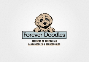 Logo Design by grrssn for this project | Design: #26590254