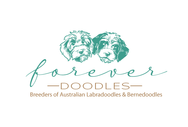 Logo Design by ally designs for this project | Design #26743204