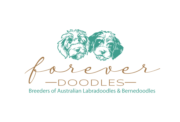 Logo Design by ally designs for this project | Design #26744825