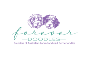 Logo Design by ally designs for this project | Design: #26763845