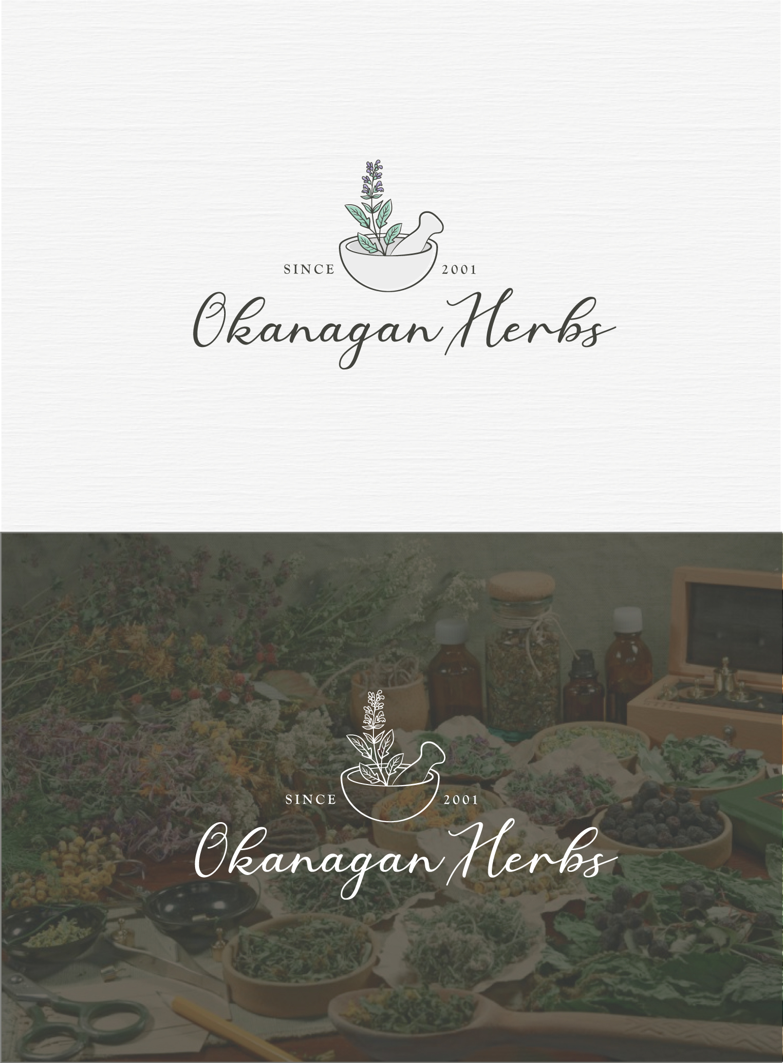 Logo Design by Birdcage for this project | Design #26579824