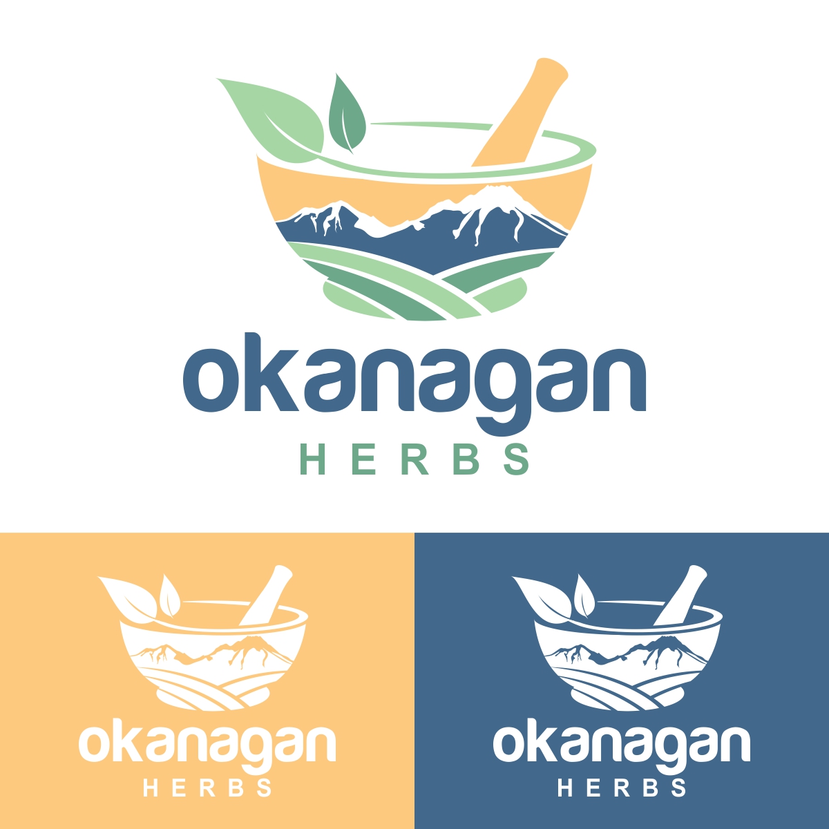 Logo Design by fly  design for this project | Design #26572291