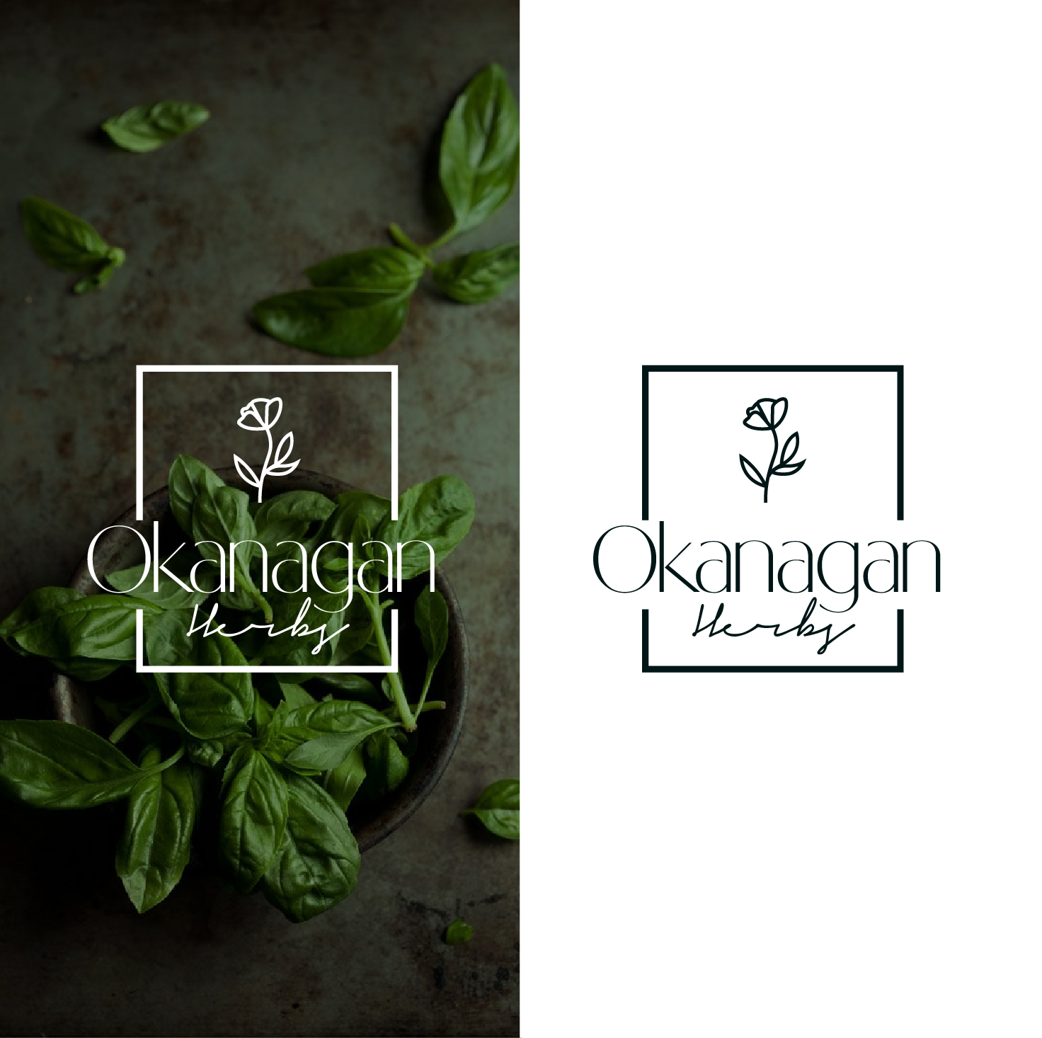 Logo Design by 4tech services for this project | Design #26568220