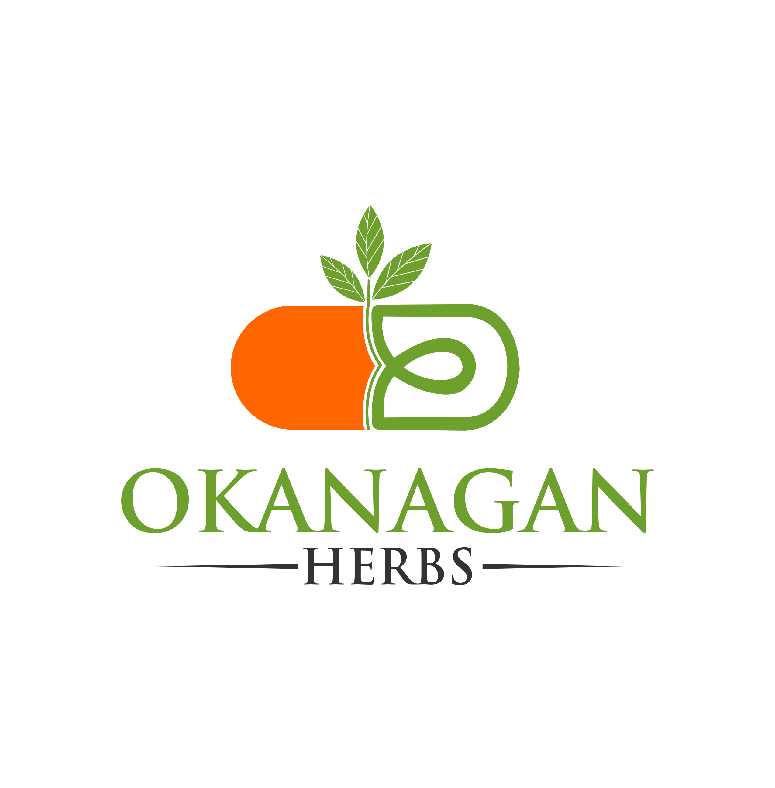 Logo Design by ERLANDO RONTE RDJ for this project | Design #26568947