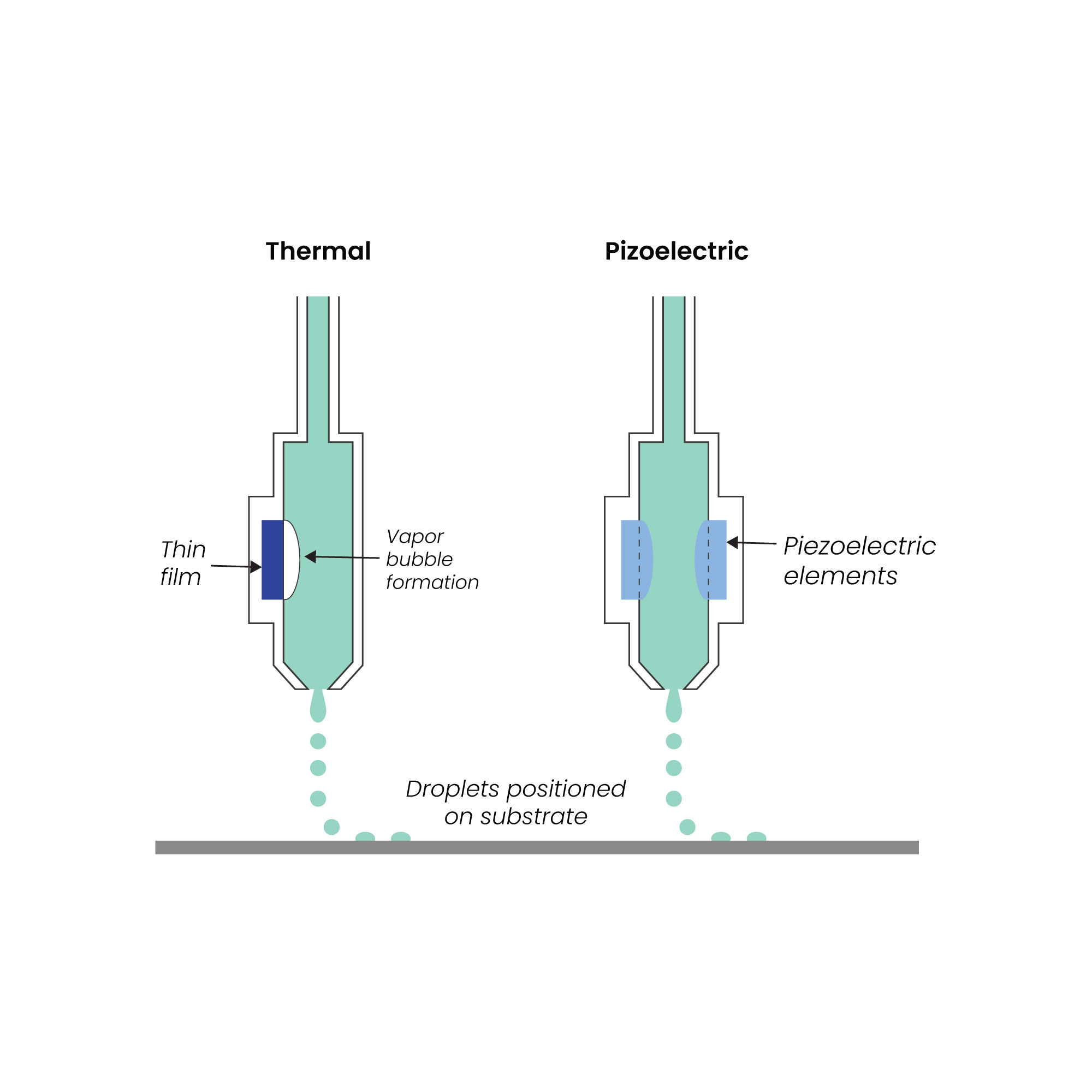 Graphic Design by Fajr. for this project | Design #27152912
