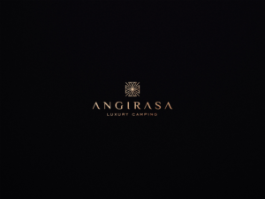 Logo Design by meolico