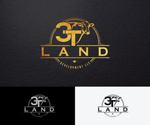3T Land Development LLC | Logo Design by step forward 2