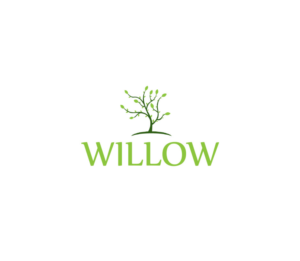 willow | Logo Design by Mr Line @rt