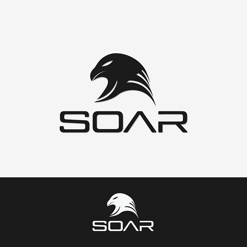 Logo Design by IdentsArt for this project | Design #26577988