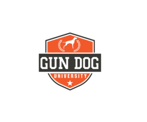 Logo Design by renderman