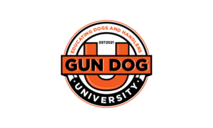 Logo Design by logoQ
