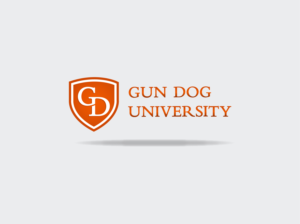 Diseño de Logo por Brandodesigner para este proyecto | Diseño #26611392