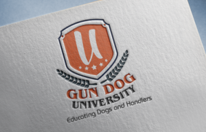 Logo Design by Design Republic