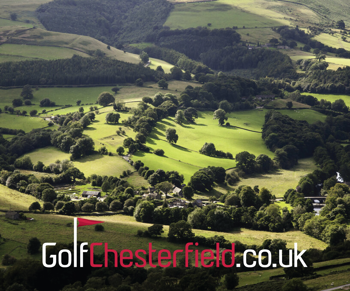 Logo Design by Blumenfeld for this project | Design #26648463