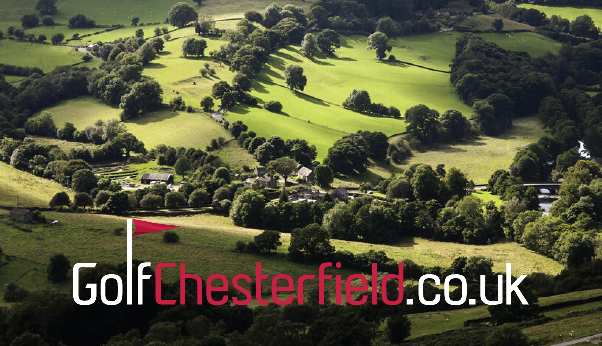 Diseño de Logo por Blumenfeld para este proyecto | Diseño #26648478