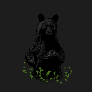 Wildlife bird and Black bear sanctuary in eastern NC | T-Shirt-Design von Voltage Gated