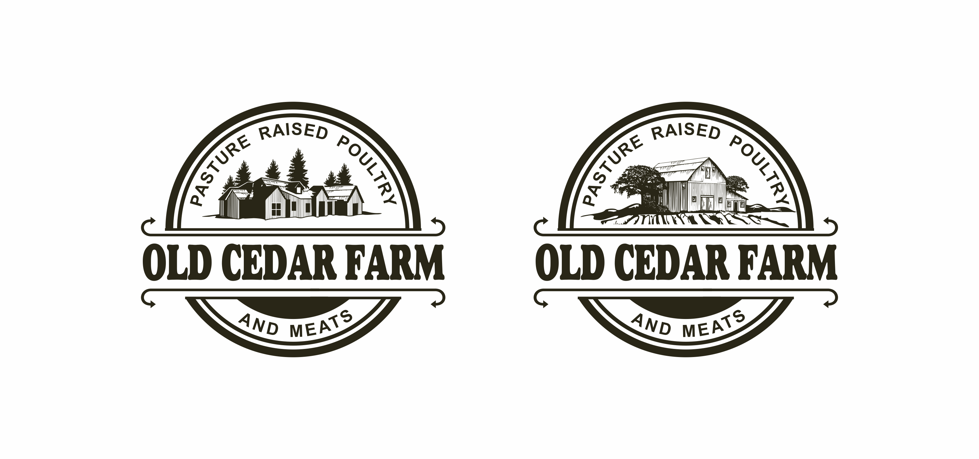 Logo Design by pa2pat for this project | Design: #26586388