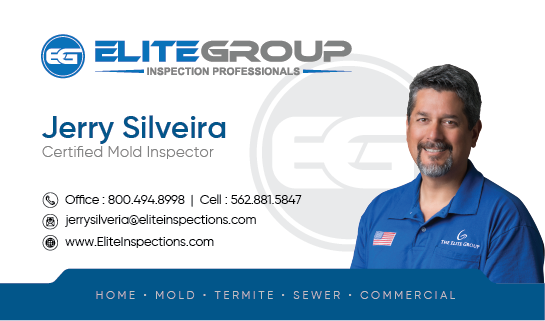 Business Card Design by Suren Amarathunga for this project | Design #26590613