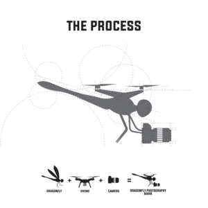 Logo Design by by kin for Dragonfly Drones & Photography Australia | Design: #26620995