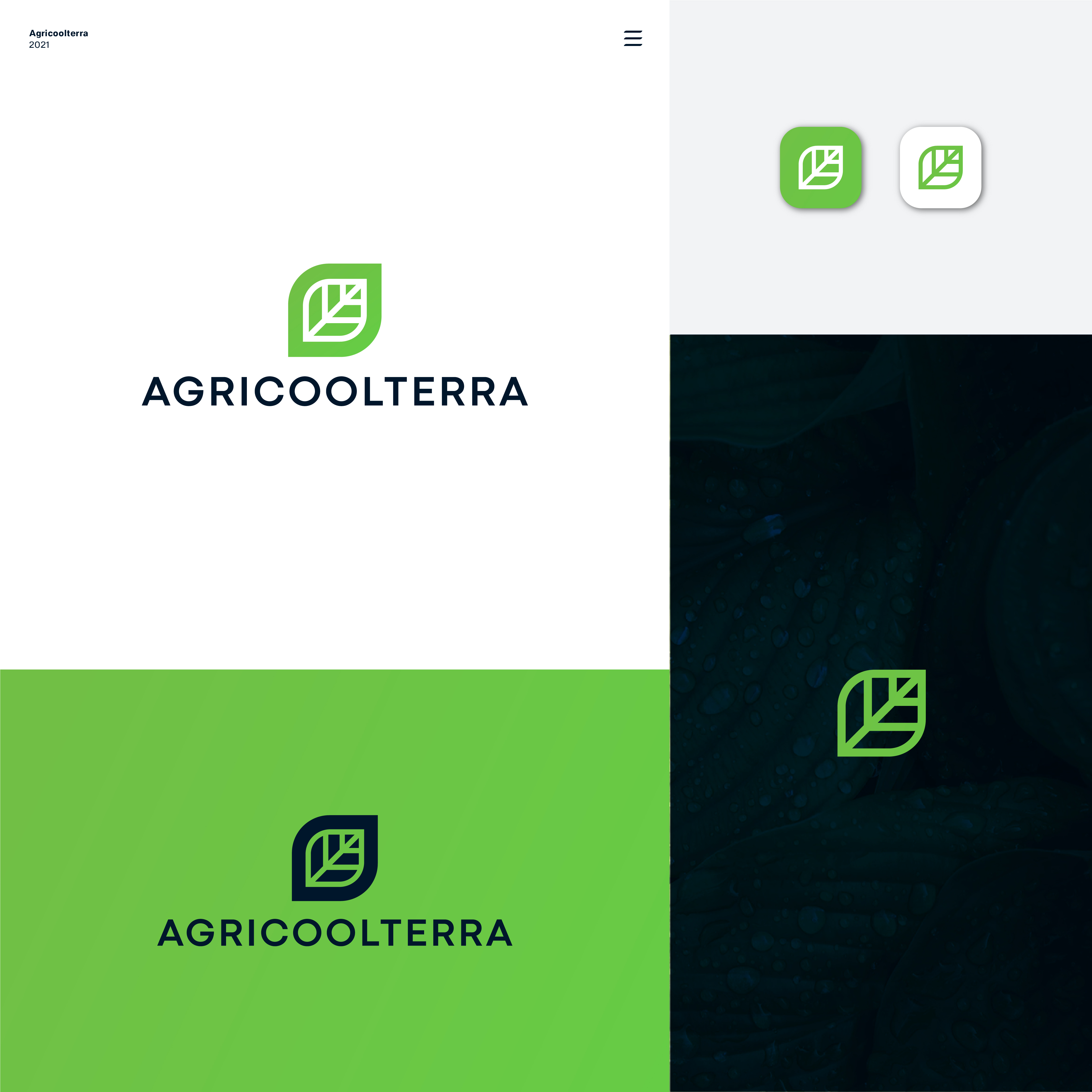 Diseño de Logo por JBalloon Design para VIA NATURIS SRL | Diseño #26650961