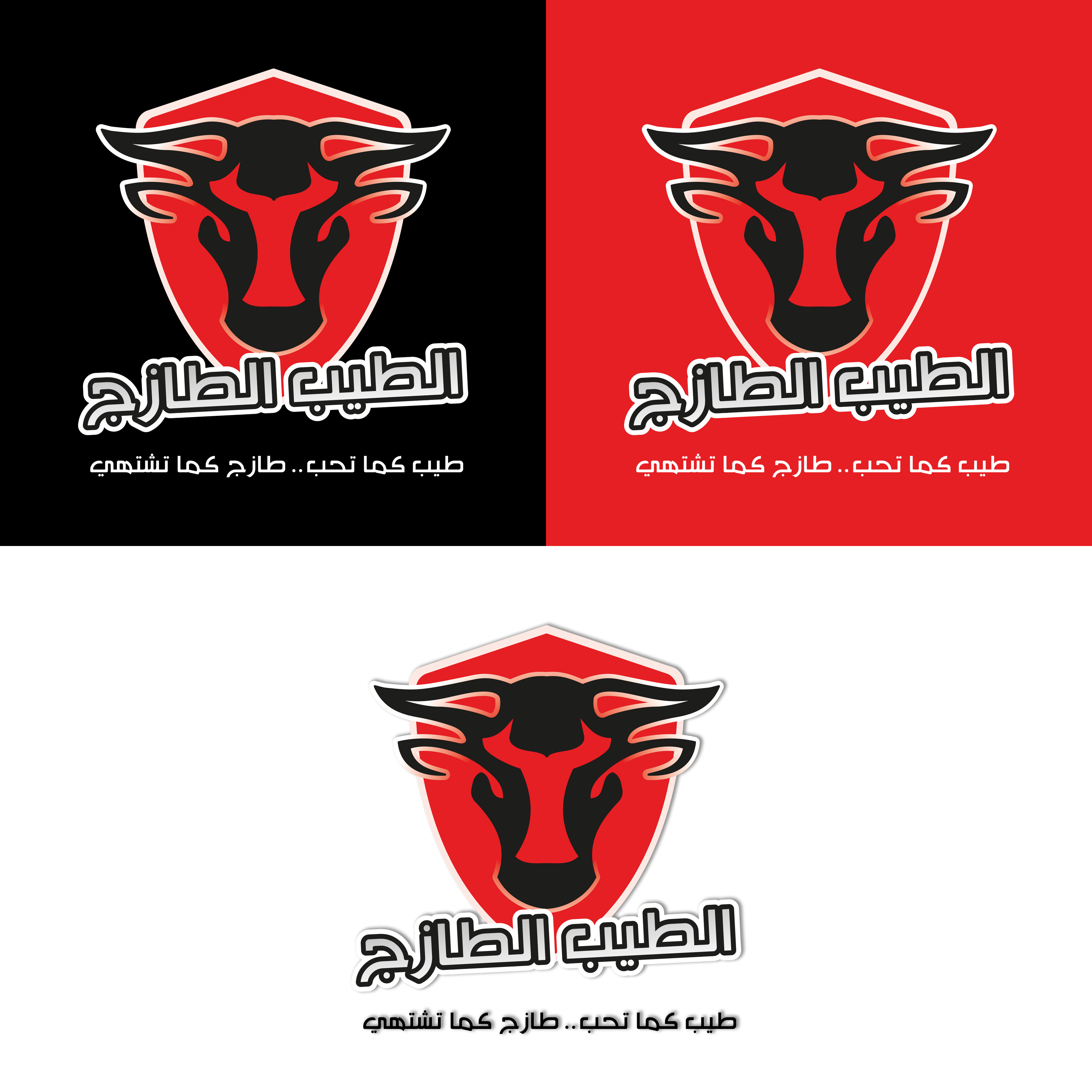 Logo Design by Amer Flehan for this project | Design #26651143