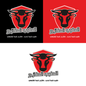 Logo Design by Amer Flehan for this project | Design #26651143