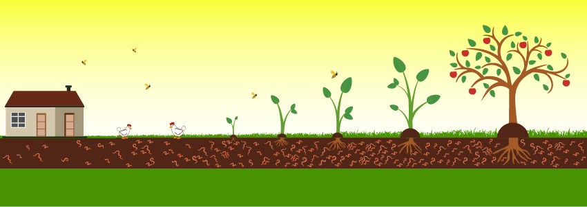 Graphic Design by SAI DESIGNS for this project | Design #26671909