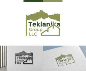 Teklanika Group, LLC | Logo Design by ileanalp