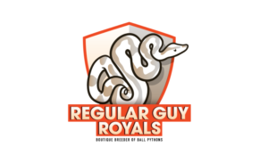 Logo-Design von 4ndr3s Gmz für dieses Projekt | Design #26652131