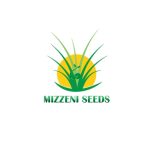 Logo Design by designerdhyani