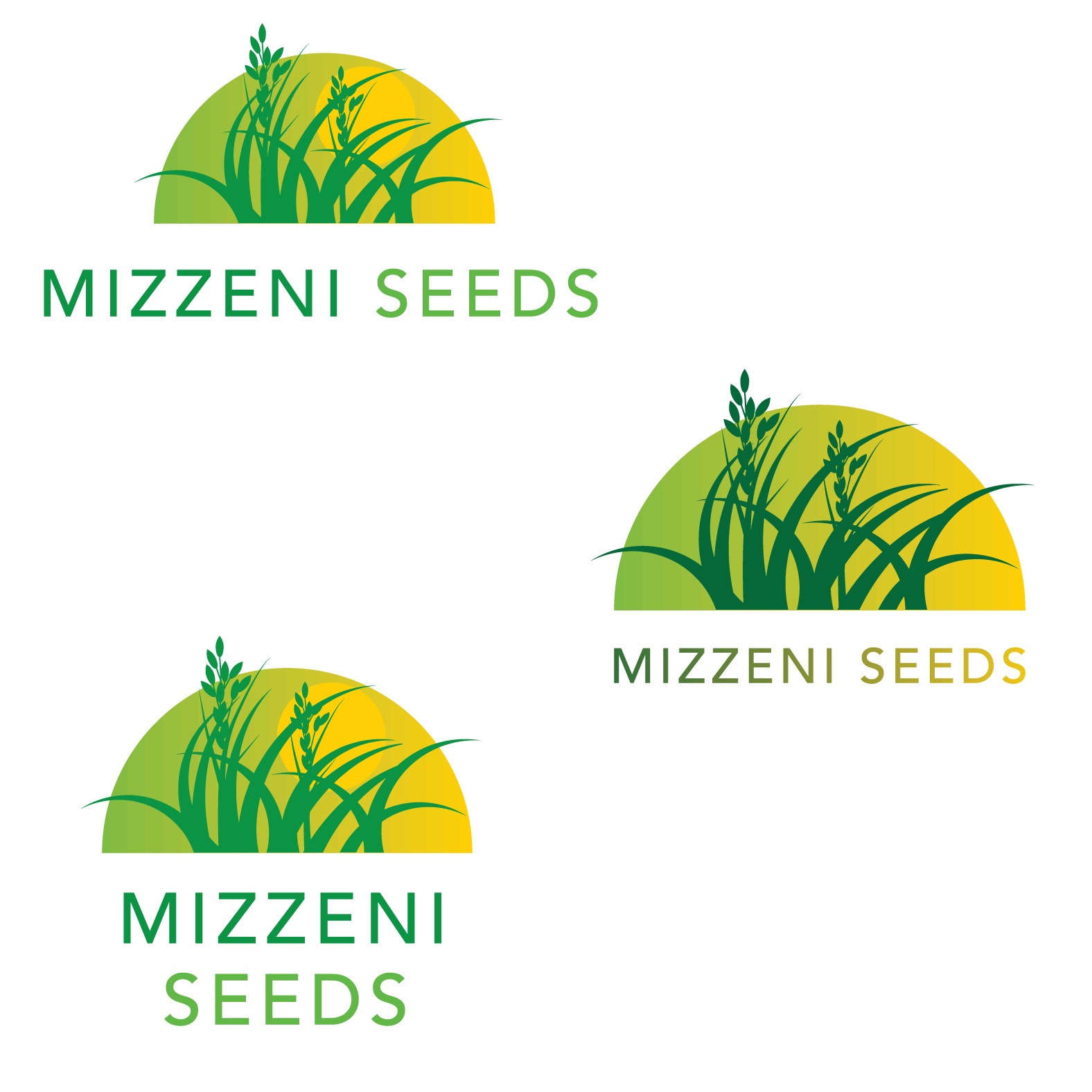 Logo Design by Kimh for Mizzeni Seeds | Design #26634855