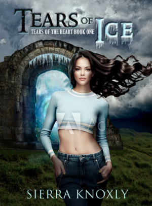 eBook Cover Design by Irina K for this project | Design: #26636971