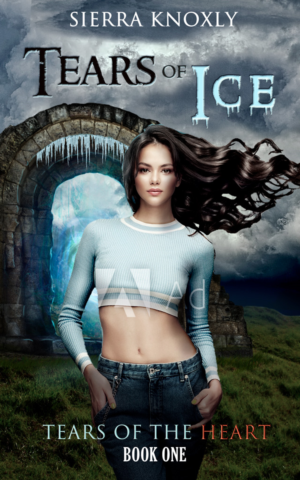 eBook Cover Design by Irina K for this project | Design: #26658788