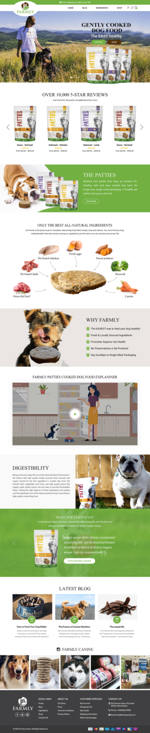 Web Design by Titan Eagle for this project | Design: #26643386