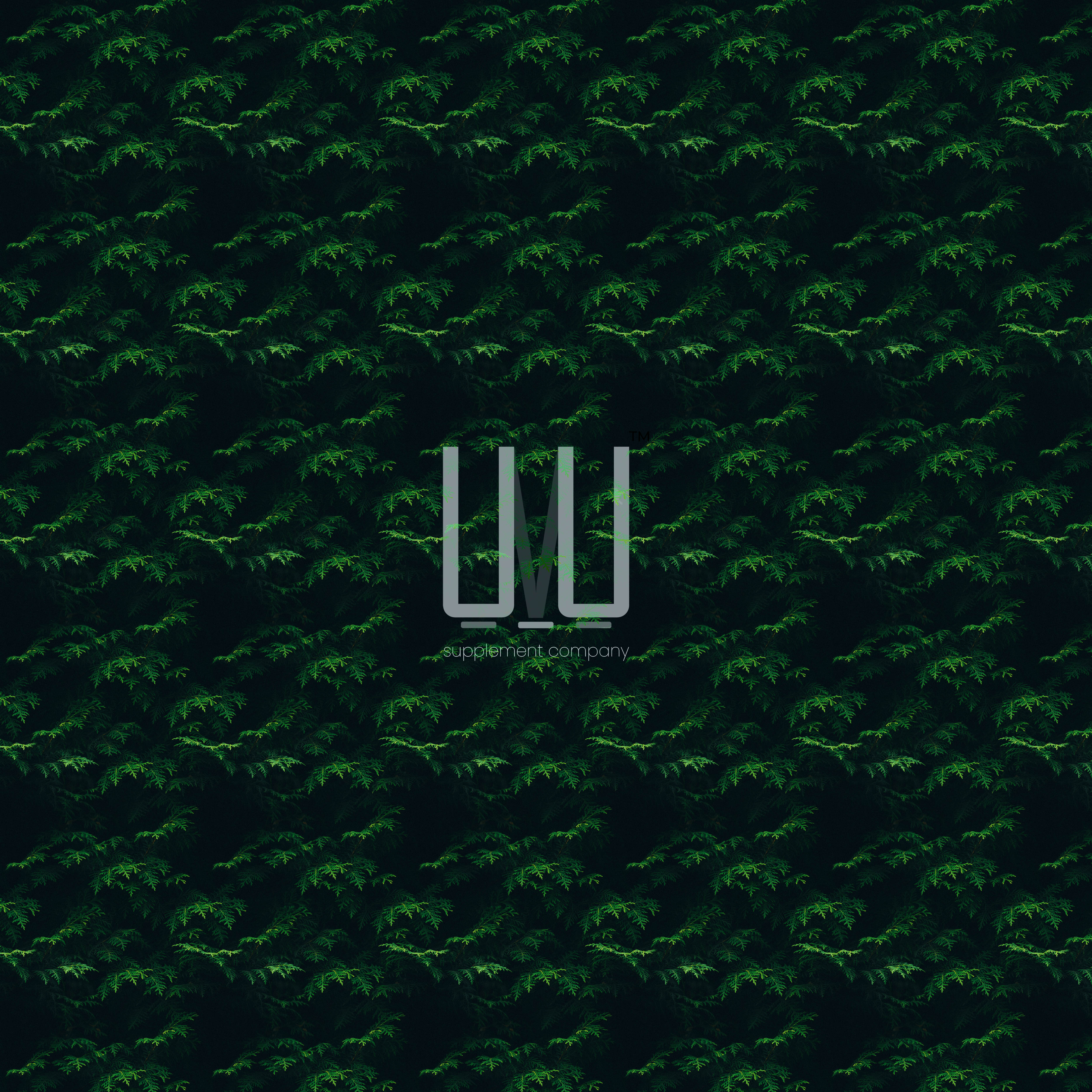 Logo Design by MOHAMMED ASHIF for Ventura Inc  | Design #26643030