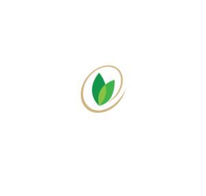 Logo Design by instudio for this project | Design: #26641675