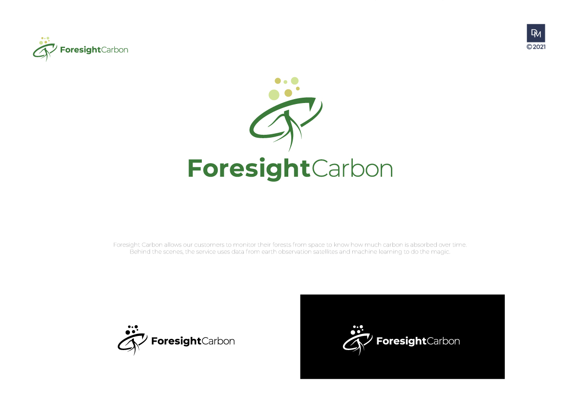 Diseño de Logo por DiMartero para este proyecto | Diseño #26718089