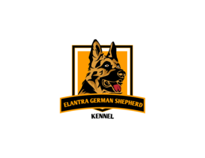 Logo Design by Publik Logo