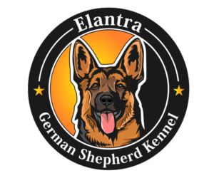 Logo Design by Narendra